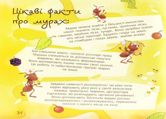 Пізнавальна інформація про мурах